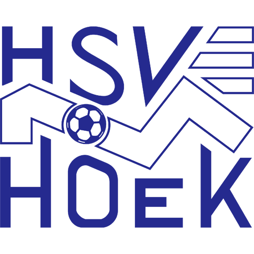 HSV胡克